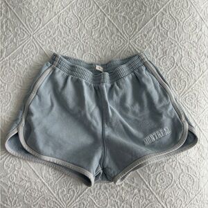 Brandy Melville Light Blue Shorts